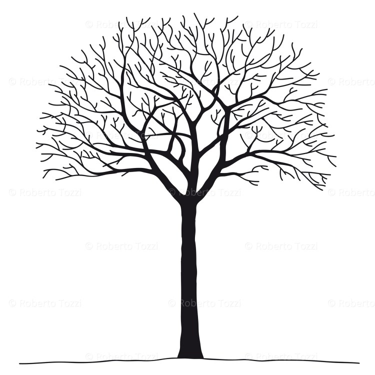 Un albero spoglio, illustrazione vettoriale.