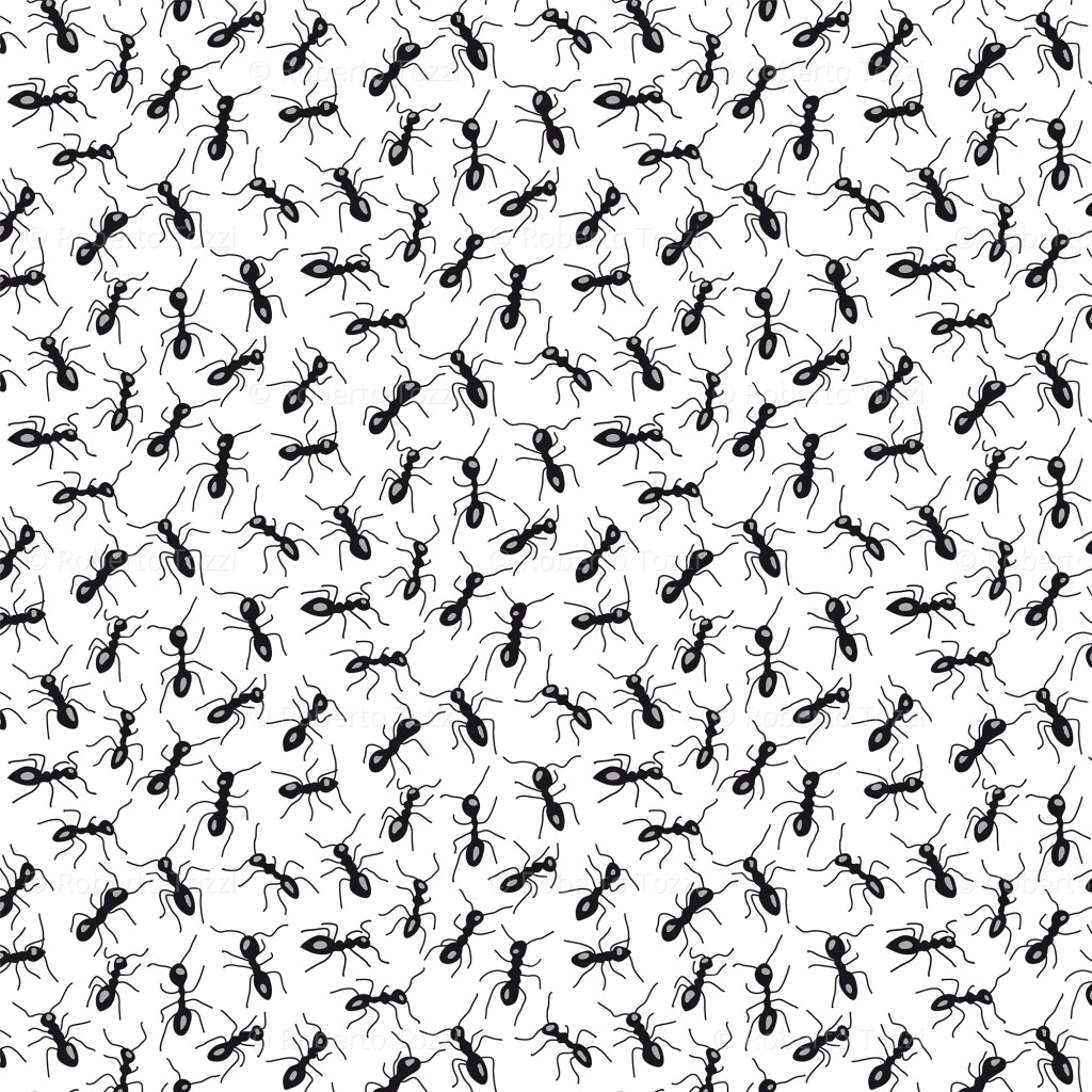 Sfondo con formiche, illustrazione vettoriale.