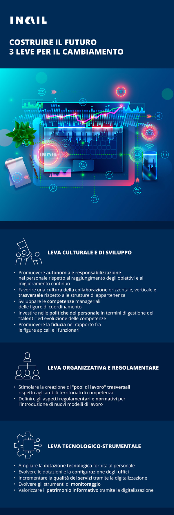 Rappresentazione in forma infografica.