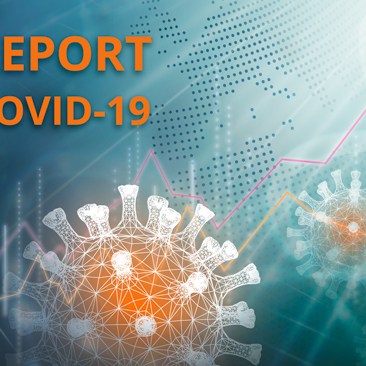 Elaborazione grafica per articolo news.